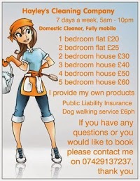 Hayleys Cleaning Company 1058013 Image 1